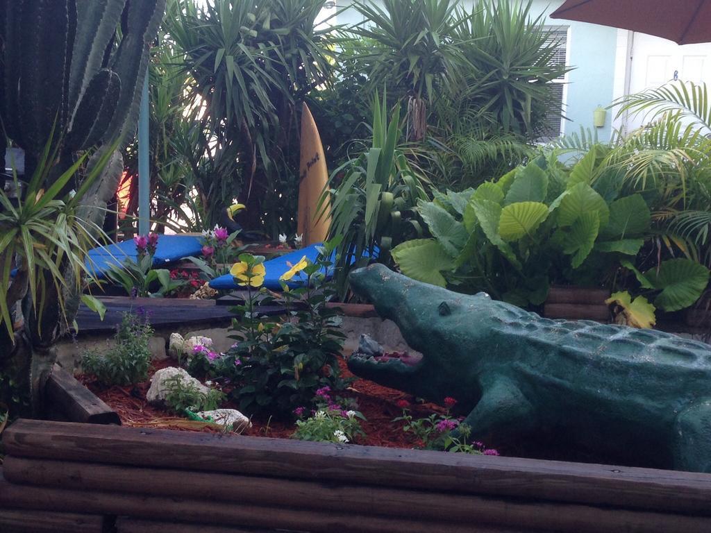 Angelfish Inn Hollywood Luaran gambar